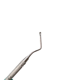 Csont Curette Hemingway, L